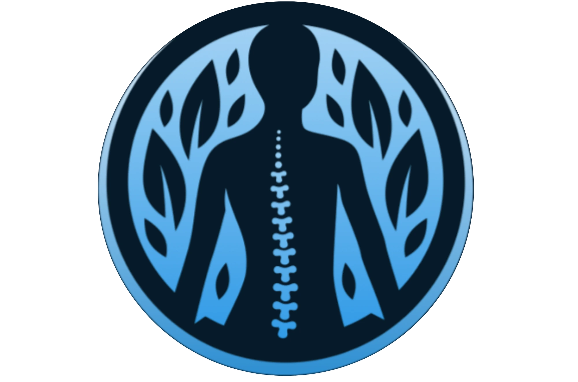 Brady Chiropractic logo